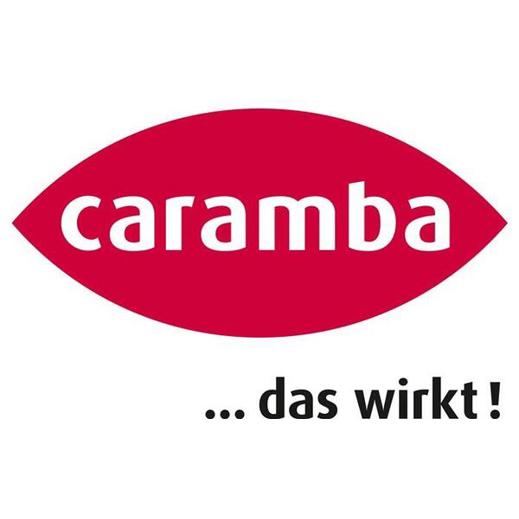 Aktiv Schaumreiniger 500 ml Spraydose CARAMBA